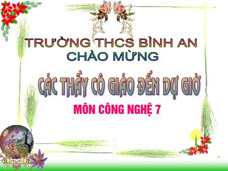 Bài giảng Công nghệ Lớp 7 - Tiết 49: Vắc xin phòng bệnh cho vật nuôi - Trường THCS Bình An