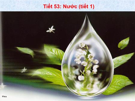 Bài giảng Hóa học Lớp 8 - Tiết 53: Nước (Tiết 1)