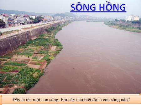 Bài giảng Ngữ văn 7 - Tiết 105: Sống chết mặc bay (Tiết 1) - Nguyễn Thị Hằng Nga