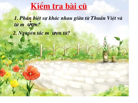Bài giảng Ngữ văn Lớp 6 - Tiết 11: Nghĩa của từ