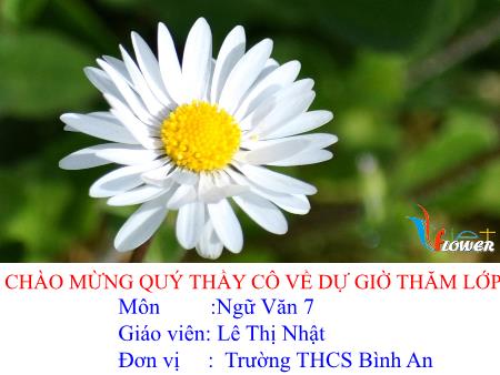 Bài giảng Ngữ văn Lớp 7 - Tiết 38: Ngẫu nhiên viết nhân buổi mới về quê - Lê Thị Nhật - Năm học 2018-2019