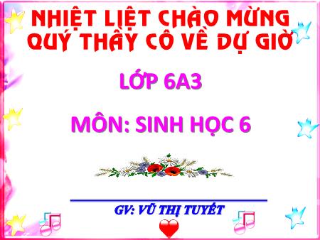 Bài giảng Sinh học Lớp 6 - Bài 16: Thân to ra do đâu - Vũ Thị Tuyết - Năm học 2018-2019