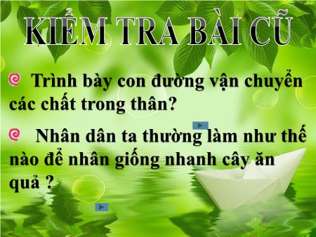 Bài giảng Sinh học Lớp 6 - Bài 18: Biến dạng của thân