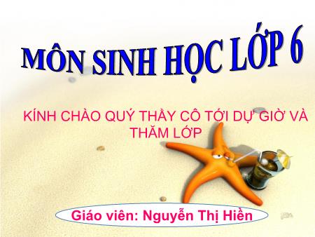 Bài giảng Sinh học Lớp 6 - Bài 21: Quang hợp (Tiếp theo) - Nguyễn Thị Hiền
