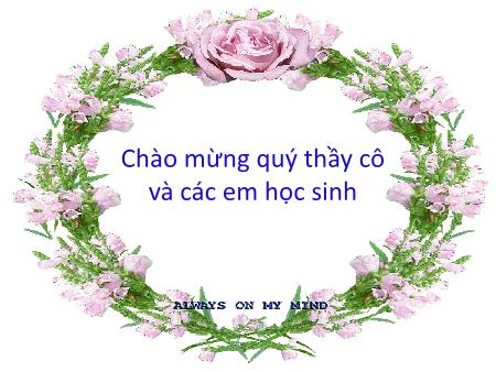 Bài giảng Sinh học Lớp 9 - Tiết 38: Ưu thế lai
