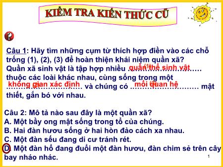 Bài giảng Sinh học Lớp 9 - Tiết 54, Bài 50: Hệ sinh thái