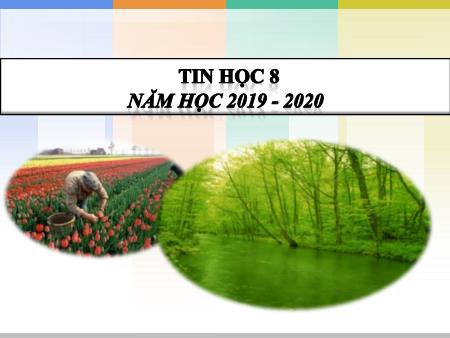 Bài giảng Tin học 8 - Bài 9: Làm việc với dãy số - Năm học 2019-2020