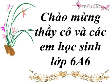 Bài giảng Toán 6 - Bài 13: Hỗn số. Số thập phân. Phần trăm