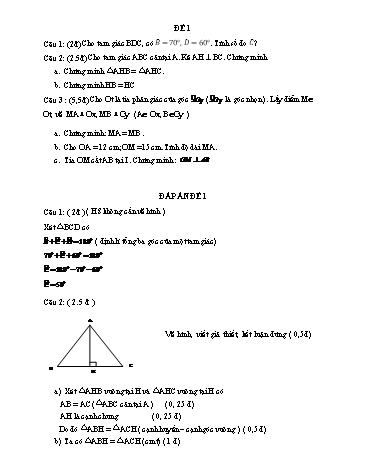 Đề kiểm tra chương II môn Hình học Lớp 7 (Có đáp án)