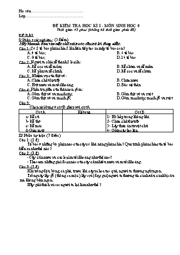 Đề kiểm tra học kì I môn Sinh học Lớp 6 (Có đáp án)
