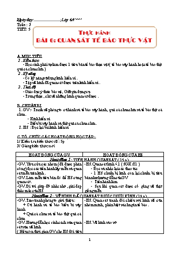 Giáo án Sinh học Lớp 6 - Tuần 3-7