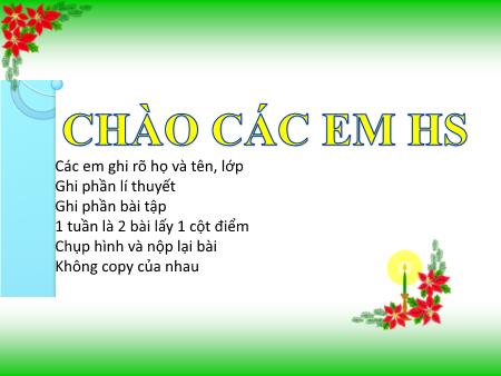 Bài giảng Công nghệ Lớp 7 - Bài 24: Gieo hạt và chăm sóc vườn gieo ươm cây rừng