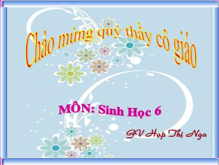 Bài giảng Sinh học Lớp 6 - Bài 22: Ảnh hưởng của các điều kiện bên ngoài đến quang hợp, ý nghĩa của quang hợp