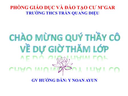 Bài giảng Sinh học Lớp 7 - Bài 56: Cây phát sinh giới động vật - Trường THCS Trần Quang Diệu