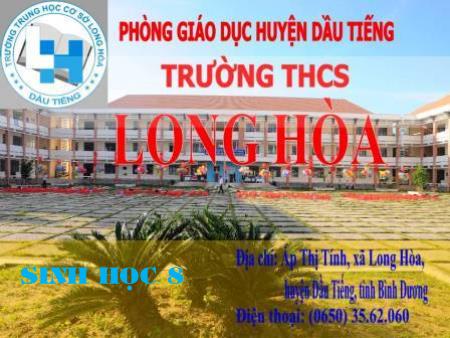 Bài giảng Sinh học Lớp 8 - Bài 28: Tiêu hóa ở ruột non - Trường THCS Long Hòa