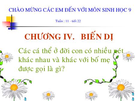 Bài giảng Sinh học Lớp 9 - Bài 21: Đột biến gen