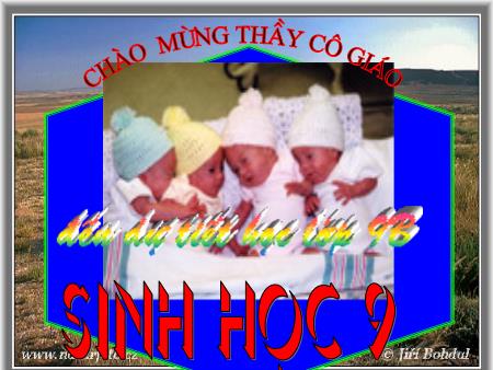 Bài giảng Sinh học Lớp 9 - Bài 28: Phương pháp nghiên cứu di truyền học người