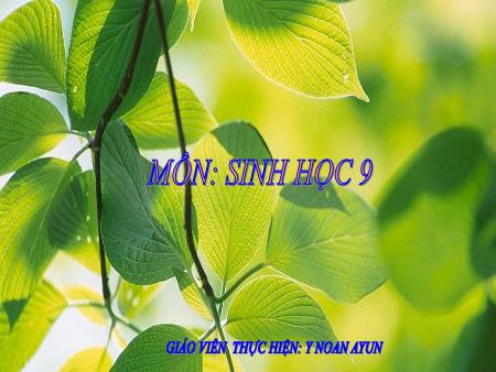 Bài giảng Sinh học Lớp 9 - Bài 53: Tác động của con người đối với môi trường