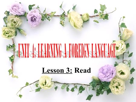 Bài giảng Tiếng Anh Lớp 9 - Unit 4: Learning a foreign language - Lesson 3