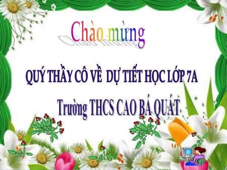 Bài giảng Tin học Lớp 7 - Bài 8: Sắp xếp và lọc dữ liệu - Trường THCS Cao Bá Quát