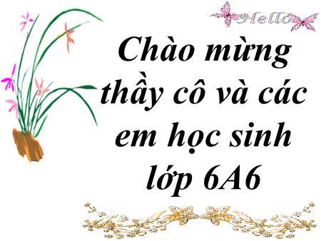 Bài giảng Toán Lớp 6 - Bài 13: Hỗn số. Số thập phân. Phần trăm - Trường THCS Đinh Tiên Hoàng